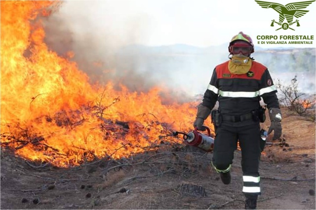 Un agente del Fu Corpo Forestale dello Stato prima della sciagurata riforma Madia in atto di spegnere un incendio